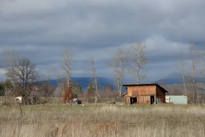 DSC_0859 (Large).JPG